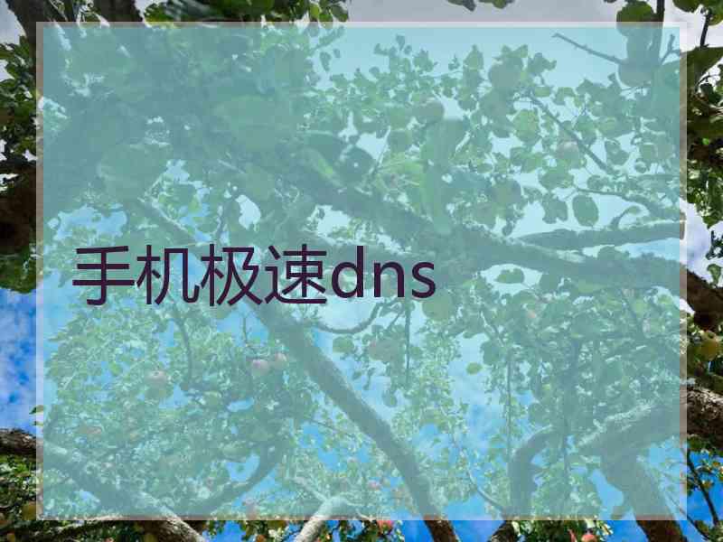 手机极速dns